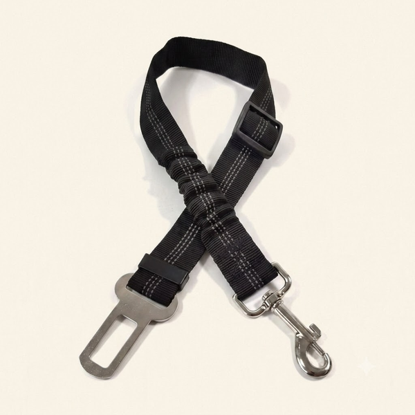 Cinturón para Perros