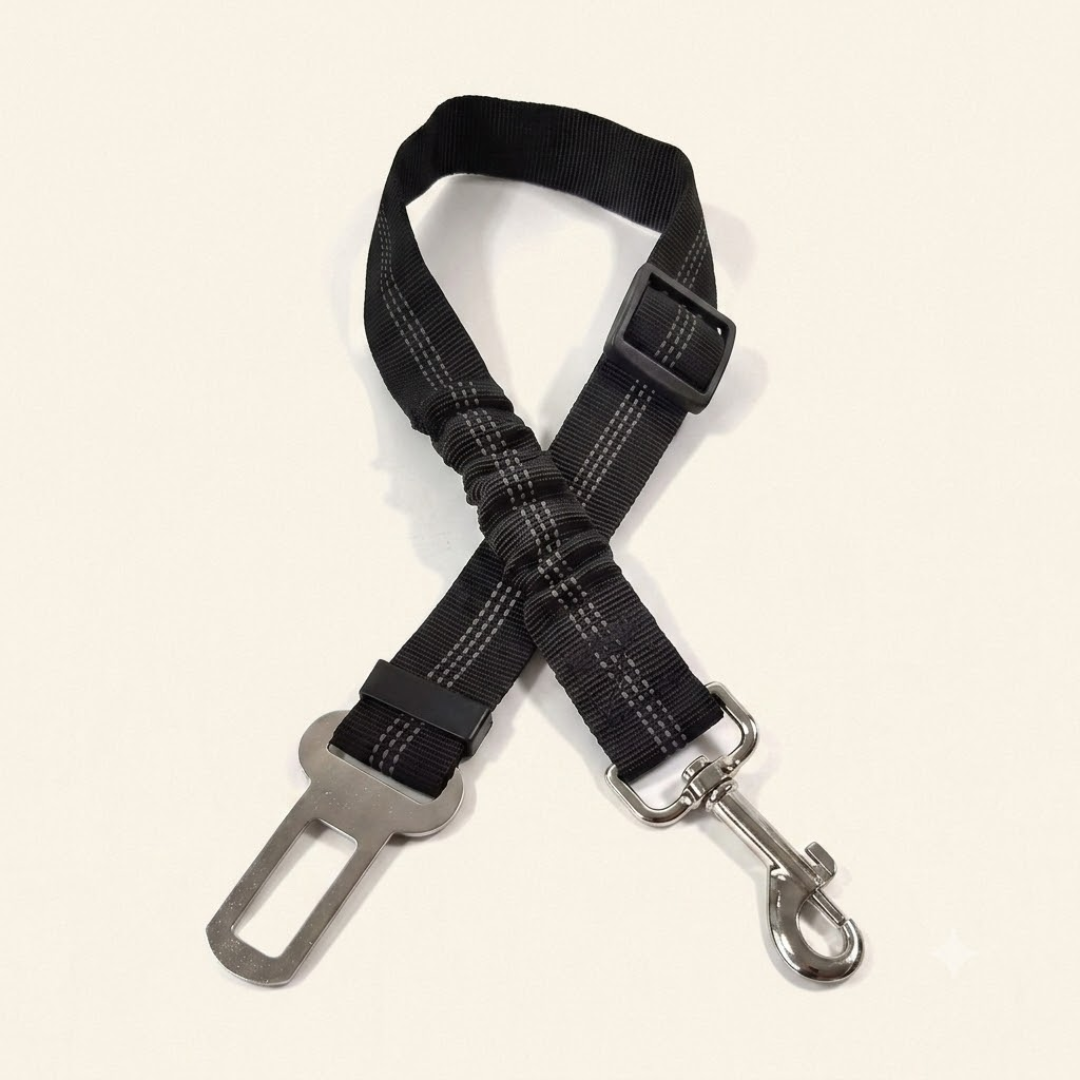 Cinturón para Perros